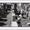 Mapleton, Brooklyn: August 8, 2004