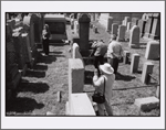 Mapleton, Brooklyn: August 8, 2004