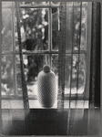 Window with a jar