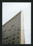 Block 428: Canal Street between Varick Street and Watts Street (north side)