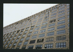 Block 428: Canal Street between Varick Street and Watts Street (north side)