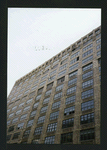 Block 428: Canal Street between Varick Street and Watts Street (north side)