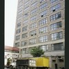 Block 428: Canal Street between Varick Street and Watts Street (north side)