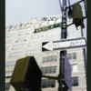 Block 428: Varick Street between Watts Street and Canal Street (west side)