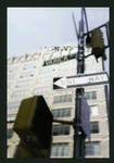 Block 428: Varick Street between Watts Street and Canal Street (west side)