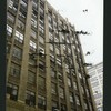 Block 429: Dominick Street between Varick Street and Hudson Street (south side)