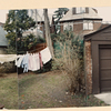 Juno Street, Forest Hills, backyard