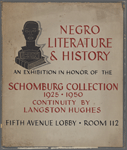 Negro Literature & History