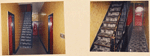 390 Vernon Avenue, apartment hallway