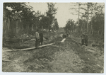 Prisoners at work in a forest