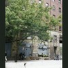Block 433: Vandam Street between Greenwich Street and Hudson Street (north side)