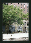 Block 433: Vandam Street between Greenwich Street and Hudson Street (north side)