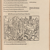 Suffron precepto Caroli laqueo suspensus