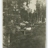 Prisoners's labor in a forest