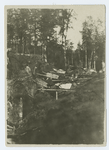 Prisoners's labor in a forest