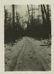 Frozen road