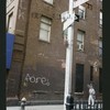 Block 441: Collister Street between Hubert Street and Laight Street (west side)