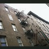 Block 441: Collister Street between Hubert Street and Laight Street (west side)