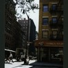 Block 447: Greenwich Street between Franklin Street and Harrison Street (east side)