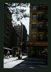 Block 447: Greenwich Street between Franklin Street and Harrison Street (east side)