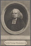 The Revd. George Whitefield, A.M.