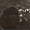 Bull Fight, Barcelona