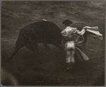 Bull Fight, Barcelona
