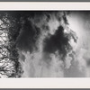 Trees, clouds, and sun