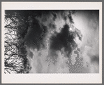 Trees, clouds, and sun
