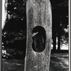 Wooden fence post