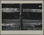 Wooden fence