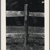 Wooden fence