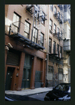 Block 448: Staple Street between Harrison Street and Jay Street (east side)