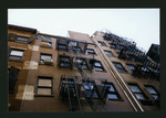 Block 448: Staple Street between Harrison Street and Jay Street (east side)