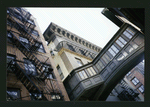 Block 448: Staple Street between Harrison Street and Jay Street (east side)