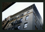 Block 448: Staple Street between Harrison Street and Jay Street (east side)