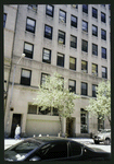 Block 450: Jay Street between Staple Street and Greenwich Street (south side)