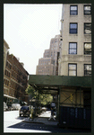 Block 450: Greenwich Street between Jay Street and Duane Street (east side)