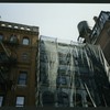 Block 450: Duane Street between Greenwich Street and Staple Street (north side)