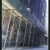 Block 450: Staple Street between Duane Street and Jay Street (west side)