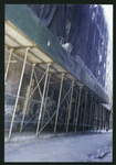 Block 450: Staple Street between Duane Street and Jay Street (west side)