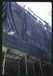 Block 450: Staple Street between Duane Street and Jay Street (west side)