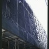 Block 450: Staple Street between Duane Street and Jay Street (west side)