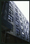 Block 450: Staple Street between Duane Street and Jay Street (west side)