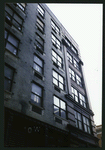 Block 450: Staple Street between Duane Street and Jay Street (west side)