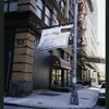 Block 450: Staple Street between Duane Street and Jay Street (west side)