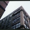 Block 450: Staple Street between Duane Street and Jay Street (west side)