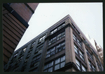 Block 450: Staple Street between Duane Street and Jay Street (west side)