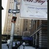 Block 451: Staple Street between Jay Street and Duane Street (east side)