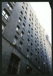 Block 451: Staple Street between Jay Street and Duane Street (east side)
